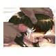 お前はもうすでに汚れてる!!(DiGiket.com)