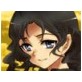 収穫の十二月～夏～(DiGiket.com)
