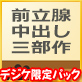 【デジケット限定パック】前立腺中出し三部作