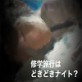 修学旅行はどきどきナイト?
