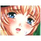【080】陵辱歌姫(DiGiket.com)