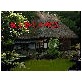 妖し怪しの物語(DiGiket.com)