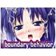Boundary Behavior(DiGiket.com)