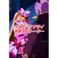 �L���A�o�^�t���C��i�߃X�g�[���[2