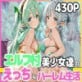 �G���t���ł̂������ȃn�[�������� �r�L�j��