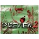 ラフ画像集　PREVIEW2(DiGiket.com)