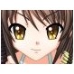 孤島のSOS(DiGiket.com)