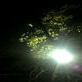 大沢豊製作BGM 2009 12 25（金）ver(DiGiket.com)
