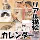 2011年 色鉛筆画にゃんこカレンダー「もふもふ」(DiGiket.com)