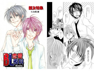 BL������� vol.14�e�F