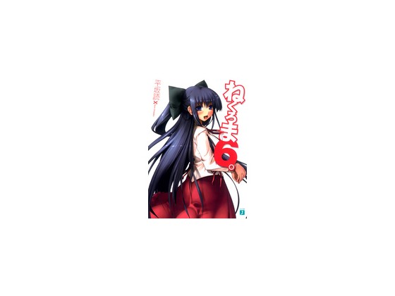 �˂���܁B6�̏Љ�摜