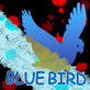 BLUE BIRD�`�����`2��