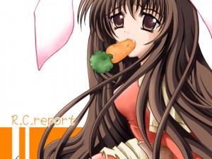 R.C.report