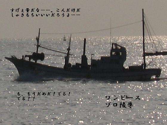 ]J̏Љ摜