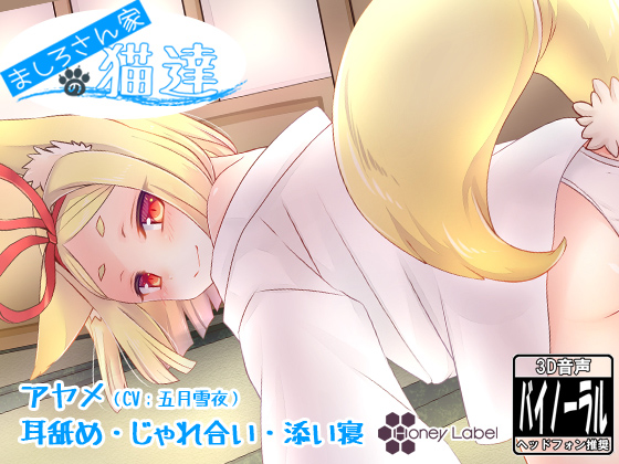 �y�Y���Q&���r�߁z�܂��낳��Ƃ̔L�B �A�����҂̏Љ�摜