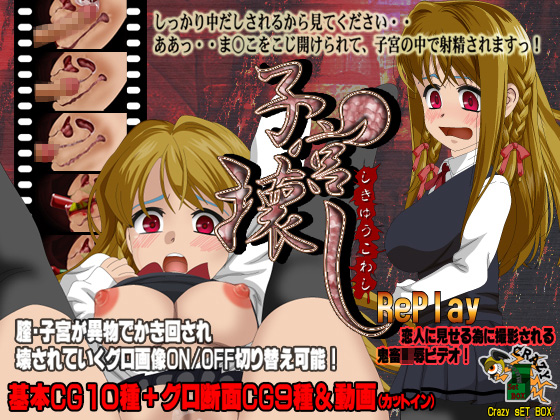 �q�{��Replay�̏Љ�摜