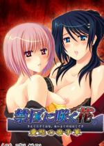 y50%OFFz֋ɍ炭ԁB`|̕q`yT}[CP 