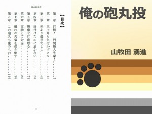 ���̖C�ۓ�