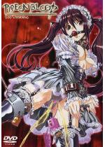 PIGEON BLOOD 1st Training