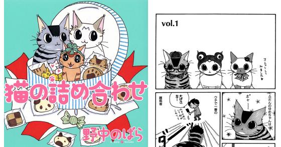 猫の詰め合わせ のご購入 野中のばら 電子書籍 ダウンロード Digiket