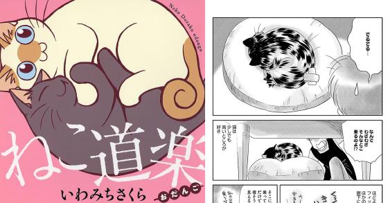 ねこ道楽 おだんご のご購入 いわみちさくら 電子書籍 ダウンロード Digiket