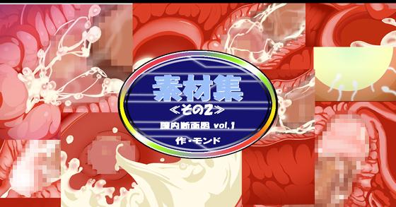 断面図　中田氏 素材集その2 膣内断面図Vol.1 ご購入 | モンド | DiGiket