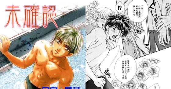 未確認恋愛感情