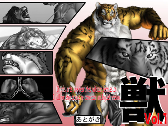 b vol 1̏Љ摜