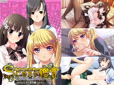 [Mink] の【おかずのためのシーン鑑賞 女子校生編 vol.1】