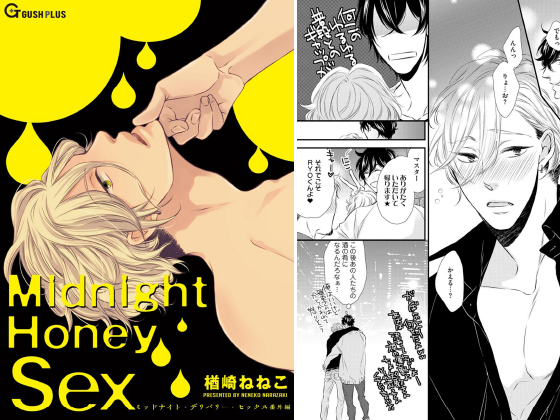 Midnight Honey Sex