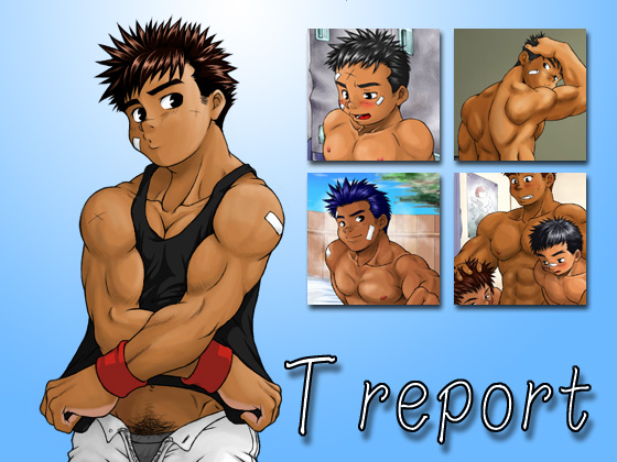 T report̏Љ摜