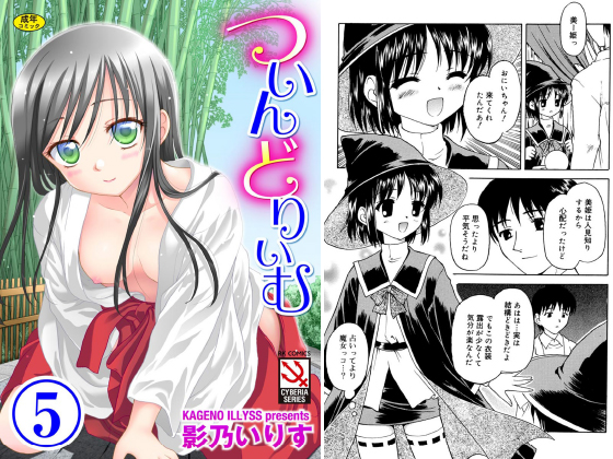 ついんどりぃむ（分冊版） 【ぷちプリンセス fortune】のタイトル画像
