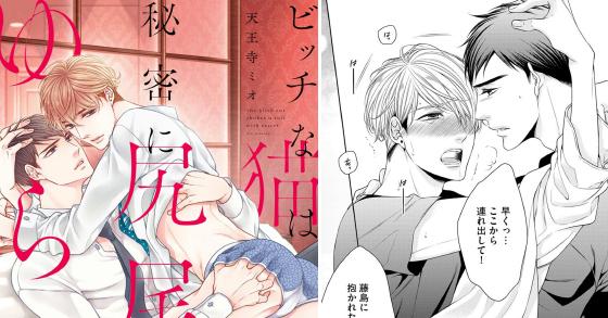 ビッチな猫は秘密に尻尾をゆらす【電子限定かきおろし漫画付】 のご