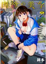 y60%OFFz~̔wydqŁzy{VLO 12