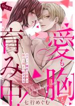 ����������ݒ��I �G���[�g�ގ��̈����͋�������܂ŊÂ�����i