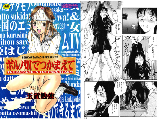 ポルノ畑でつかまえてのタイトル画像