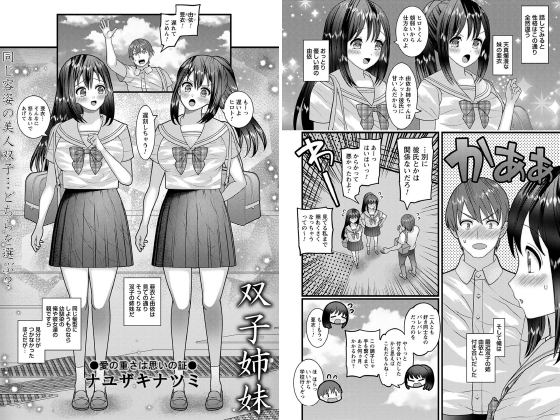 双子姉妹【単話】のタイトル画像