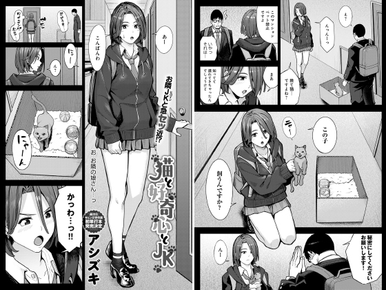 猫と好奇心とJK【単話】のタイトル画像