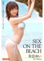 SEX ON THE BEACH �鉹�䂢