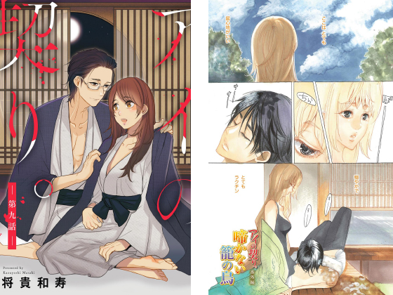 アイの契り。（分冊版） 【第9話】 アイの契り。番外編 啼かない籠の鳥のタイトル画像