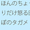 �ق�̂�����҂肾���{��c��ڂ̃^�K��