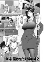 �y50%OFF�z���� �N���ꂽ�v�w���J2�y�P�b�z�y�t��CP 