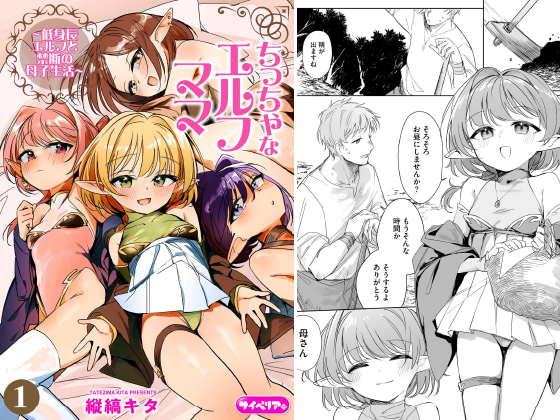 ちっちゃなエルフママ 〜低身長エルフと禁断の母子生活〜（分冊版） 【第1話】のタイトル画像