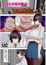 �y50%OFF�z�A�Z�r�̉Ԃ̖�4�y�P�b�z�y�t��CP 5/11