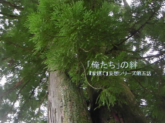 uvJ̏Љ摜