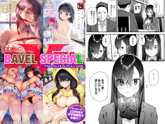 COMIC BAVEL SPECIAL COLLECTION VOL65のタイトル画像