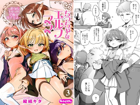 ちっちゃなエルフママ 〜低身長エルフと禁断の母子生活〜（分冊版） 【第3話】のタイトル画像