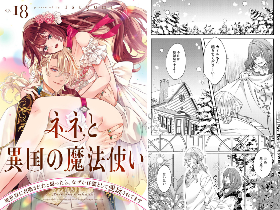 ネネと異国の魔法使い 異世界に召喚されたと思ったら、なぜか仔猫として愛玩されてます（分冊版） 【第18話】のタイトル画像