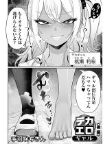 �f�J���ăG�����M���� ��ҁy�P�b�z