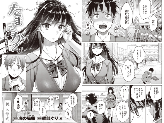 たまさか！ 〜玉磨市(性)産業改革学園〜 第1話【単話】のタイトル画像